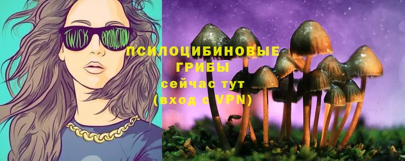 Галлюциногенные грибы Psilocybe  Бабушкин 